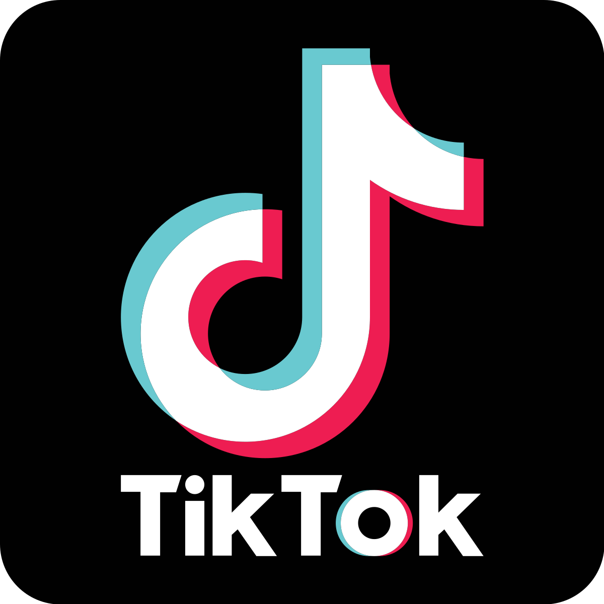 What Digital Marketers Should Know About TikTok
