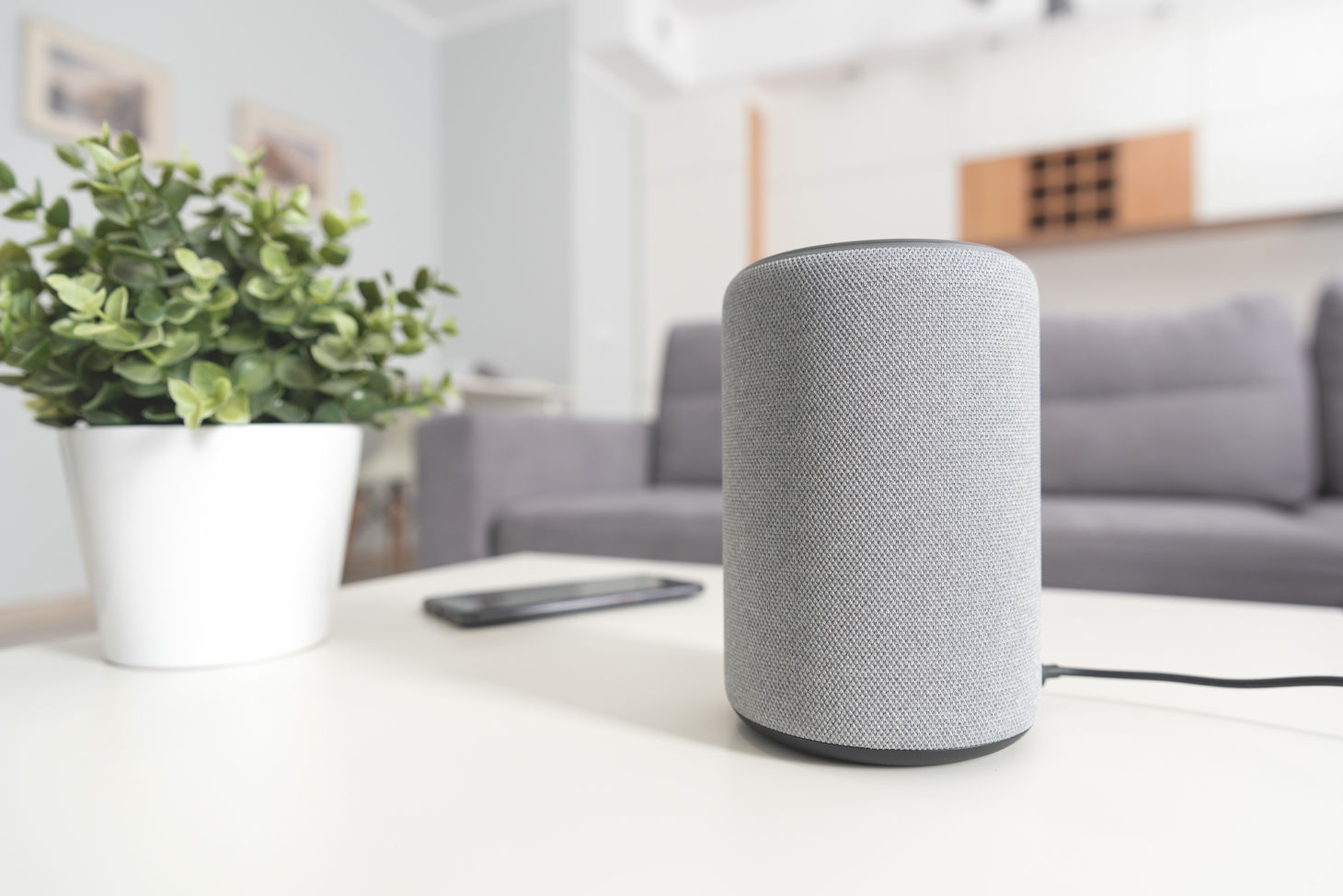 Optimizing Your Marketing Strategy for Smart Speakers and Voice Search Assistants